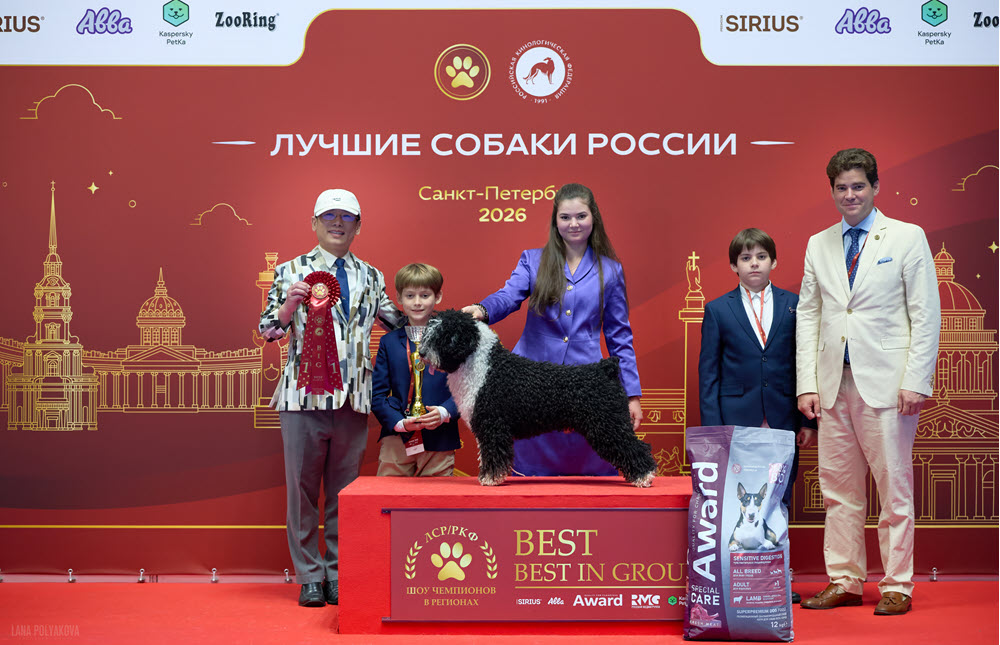 Воронеж впервые примет масштабную выставку «ЛУЧШИЕ СОБАКИ РОССИИ 2026. ШОУ ЧЕМПИОНОВ» фото: Воронеж впервые примет масштабную выставку «ЛУЧШИЕ СОБАКИ РОССИИ 2026. ШОУ ЧЕМПИОНОВ»