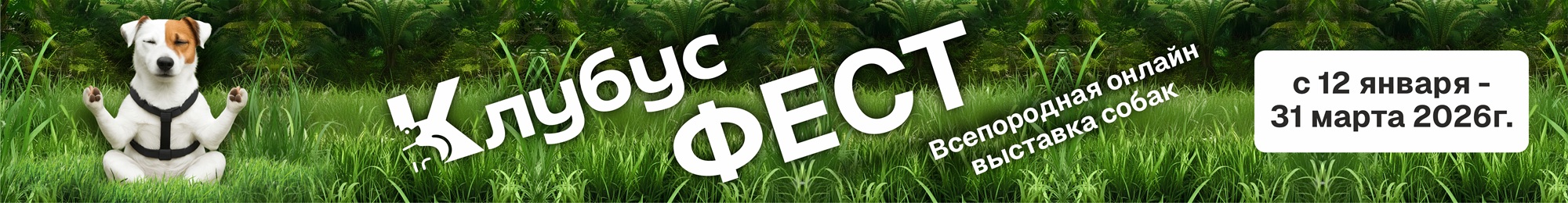 фото: «Клубус Фест»: всероссийский онлайн-фестиваль для собак ищет самого улыбчивого и обаятельного питомца