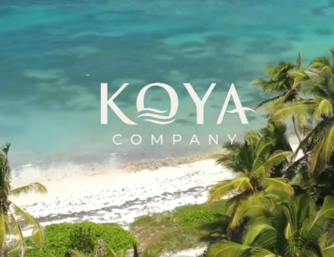 KOYA открывает доступ к данным: конец эпохи отчётов на слово KOYA: собственник видит те же цифры, что и управляющая компания