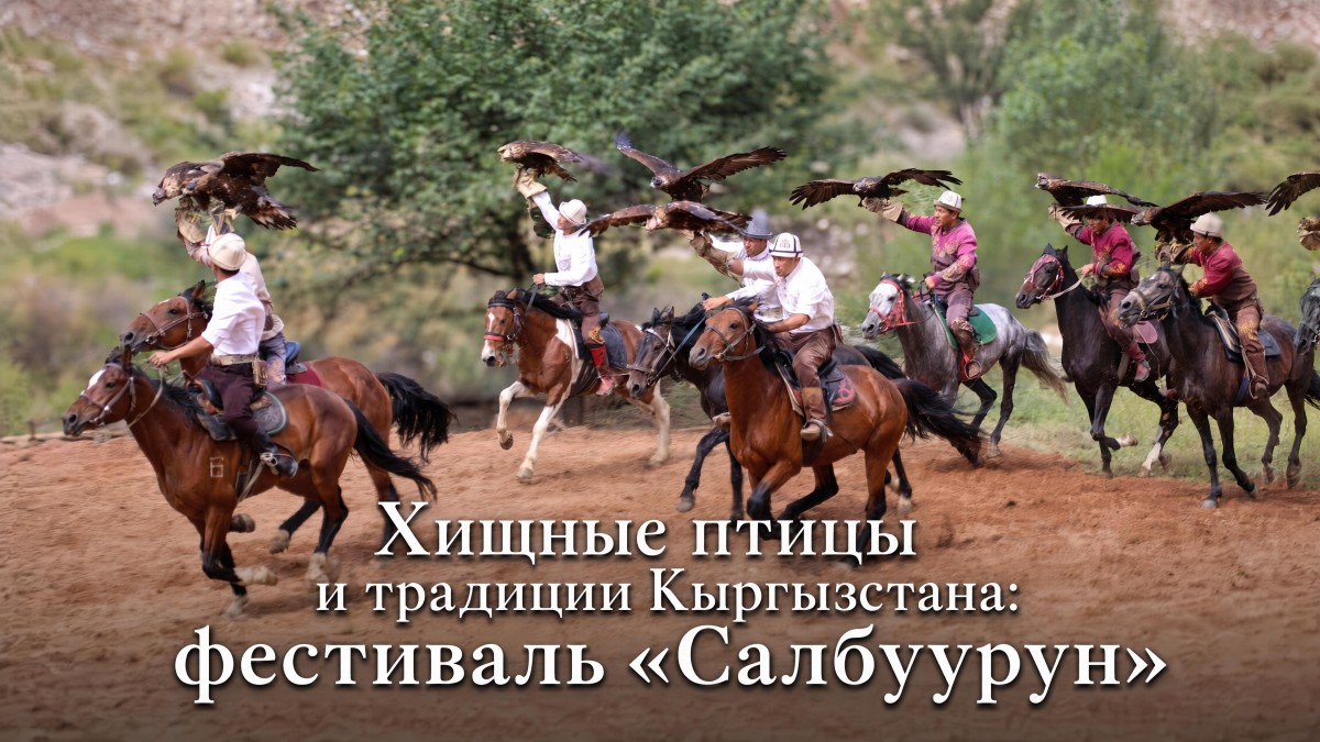 От Подмосковья до Иссык-Куля: где снимали «Удивительный мир хищных птиц»