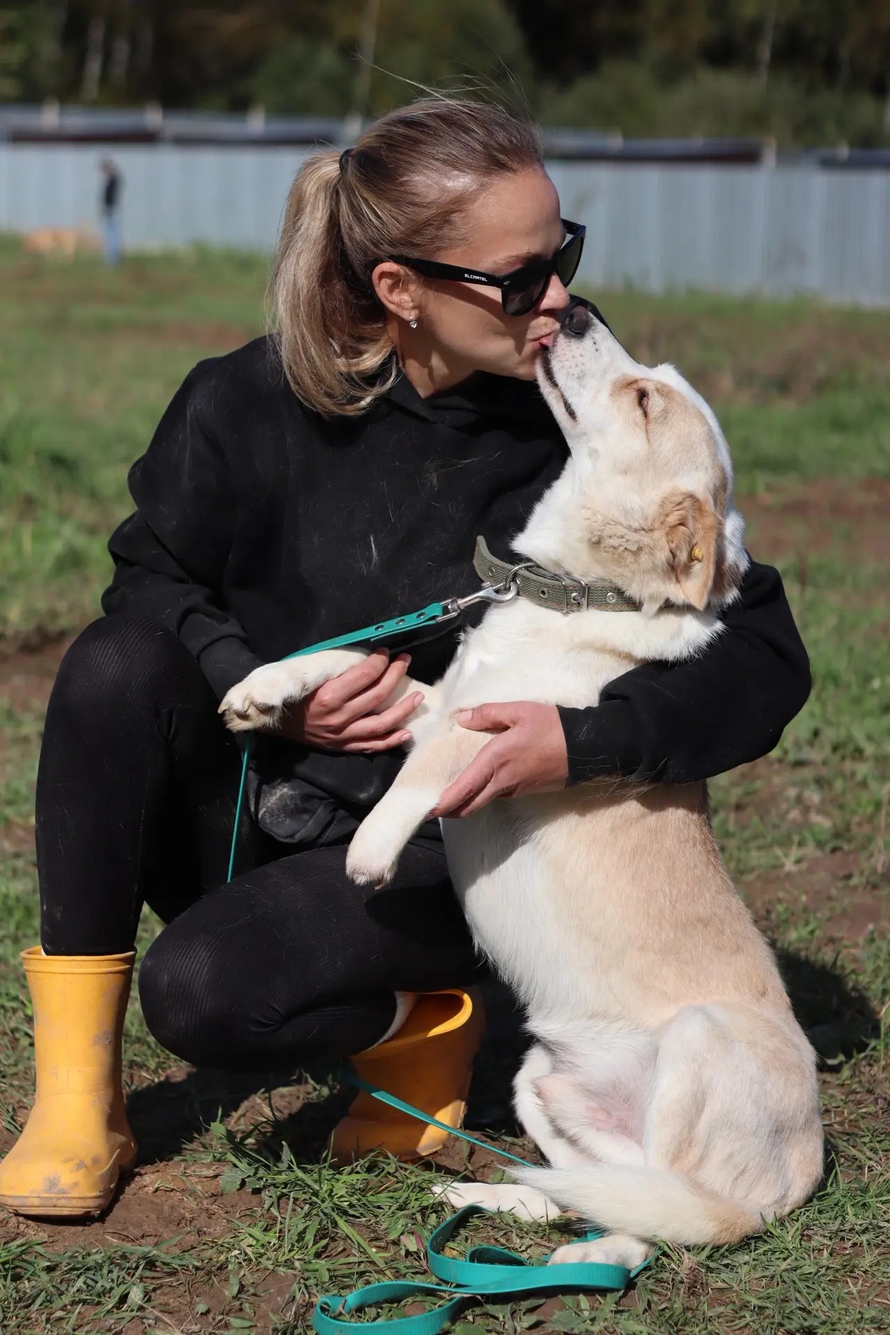 Онлайн-выставка собак «КлубусФЕСТ-Приюты»: один клик - и собака дома фото: Онлайн-выставка собак «КлубусФЕСТ-Приюты»: один клик - и собака дома