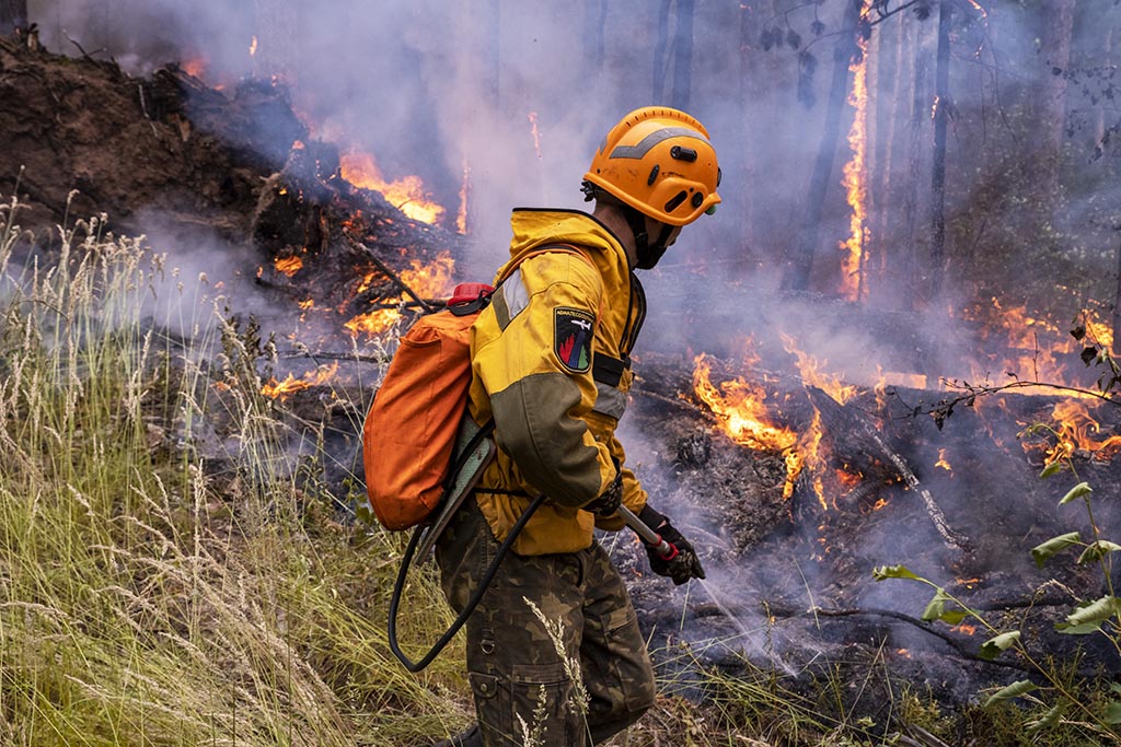 фото: Страховые компании Сбера урегулируют убытки от сибирских пожаров в упрощённом порядке