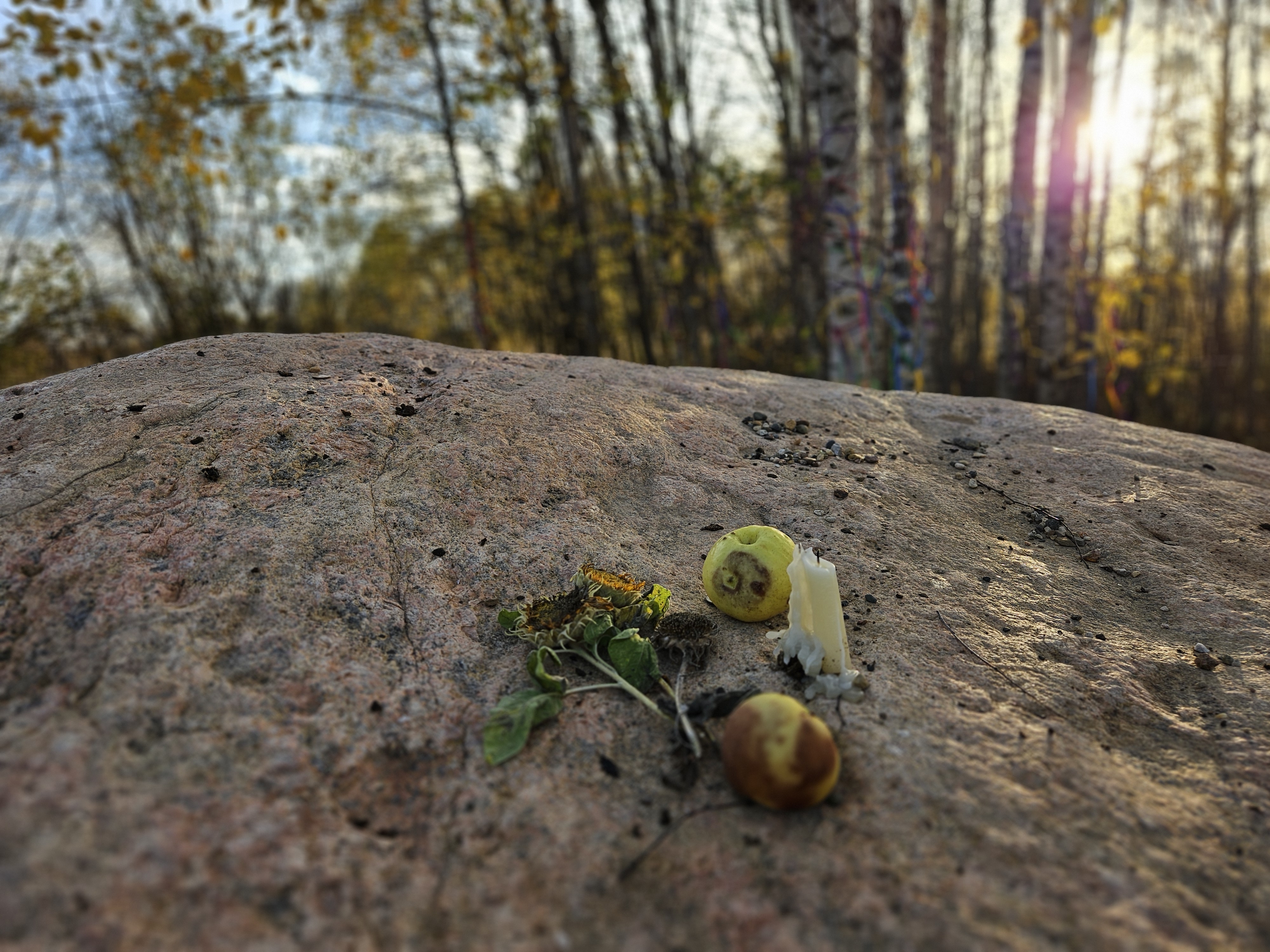 фото: Священные камни древних славян в Костромской области