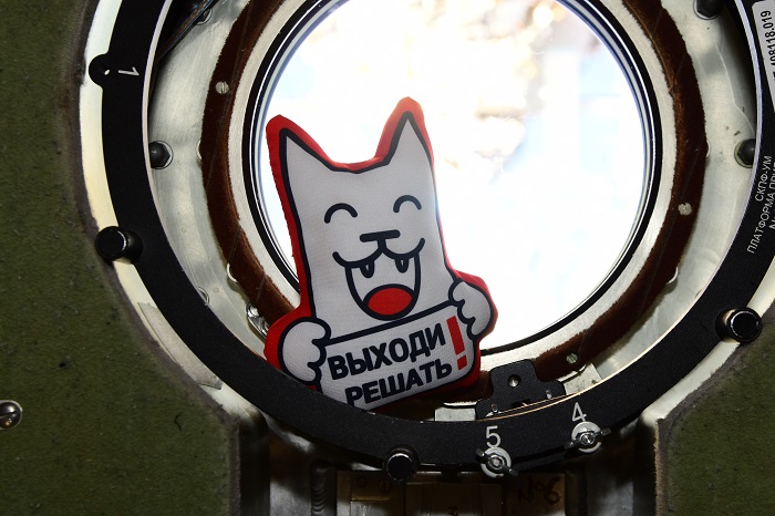 Космонавты с МКС поддержали контрольную «Выходи решать!»  фото: Космонавты с МКС поддержали контрольную «Выходи решать!»
