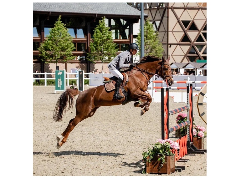 Международный турнир по конкуру клуба Emerald Stables номинирован на премию Horse Expert Awards — 2025 фото: Международный турнир по конкуру клуба Emerald Stables номинирован на премию Horse Expert Awards — 2025