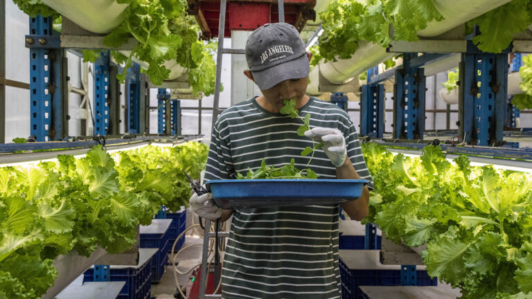 Посол России рассказал об интересе бизнеса к трудовым мигрантам из Индонезии фото: Посол России рассказал об интересе бизнеса к трудовым мигрантам из Индонезии