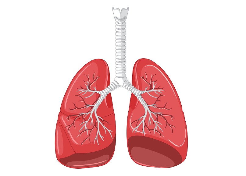 Онколог Видного: нужно вовремя проходить диспансеризацию и профилактические медосмотры фото: Онколог Видного: нужно вовремя проходить диспансеризацию и профилактические медосмотры
