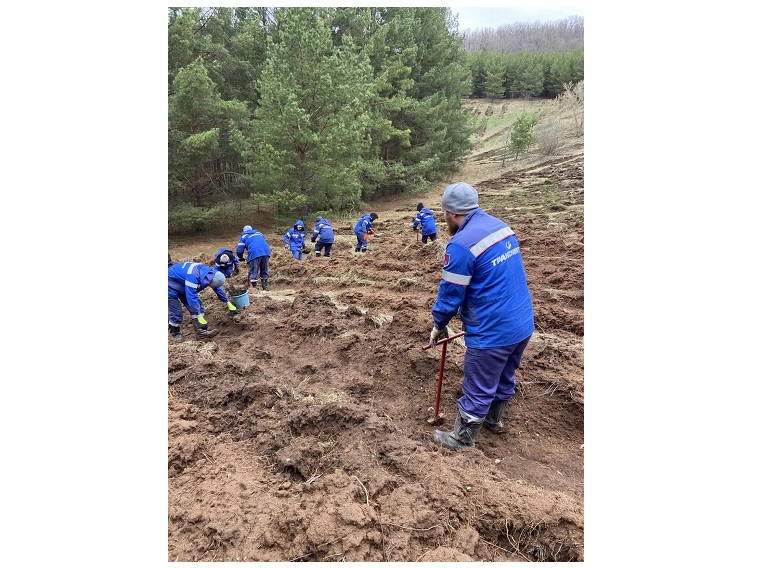 Работники АО «Транснефть – Прикамье» приняли участие в экологических акциях регионов присутствия фото: Работники АО «Транснефть – Прикамье» приняли участие в экологических акциях регионов присутствия