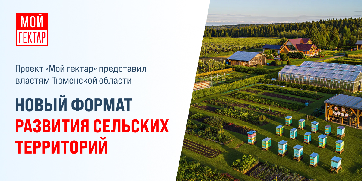 фото: Проект «Мой гектар» представил властям Тюменской области новый формат развития сельских территорий