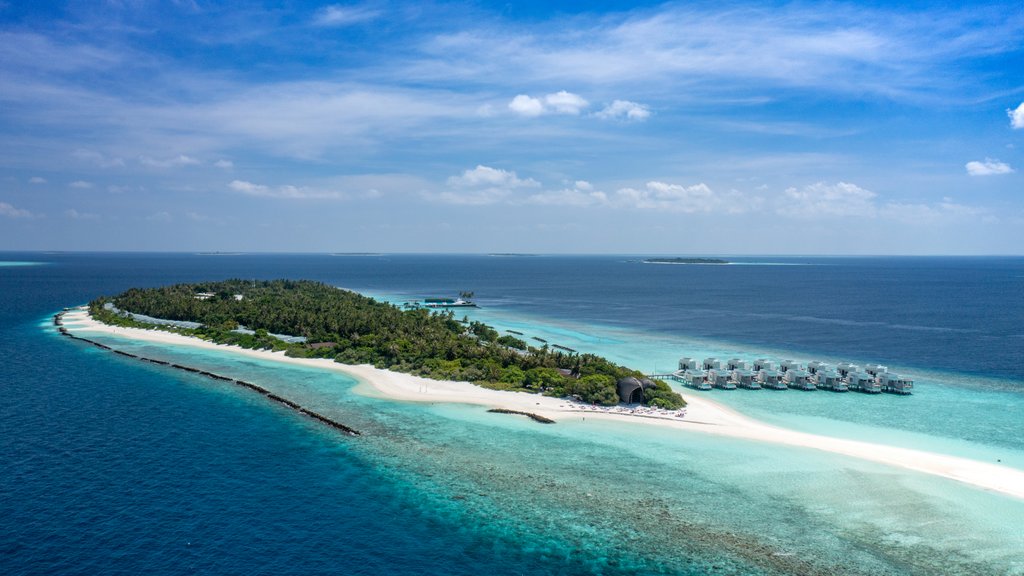 фото: По следам Баттуты.  Исследуем уникальные рестораны райского острова-курорта Dhigali Maldives.