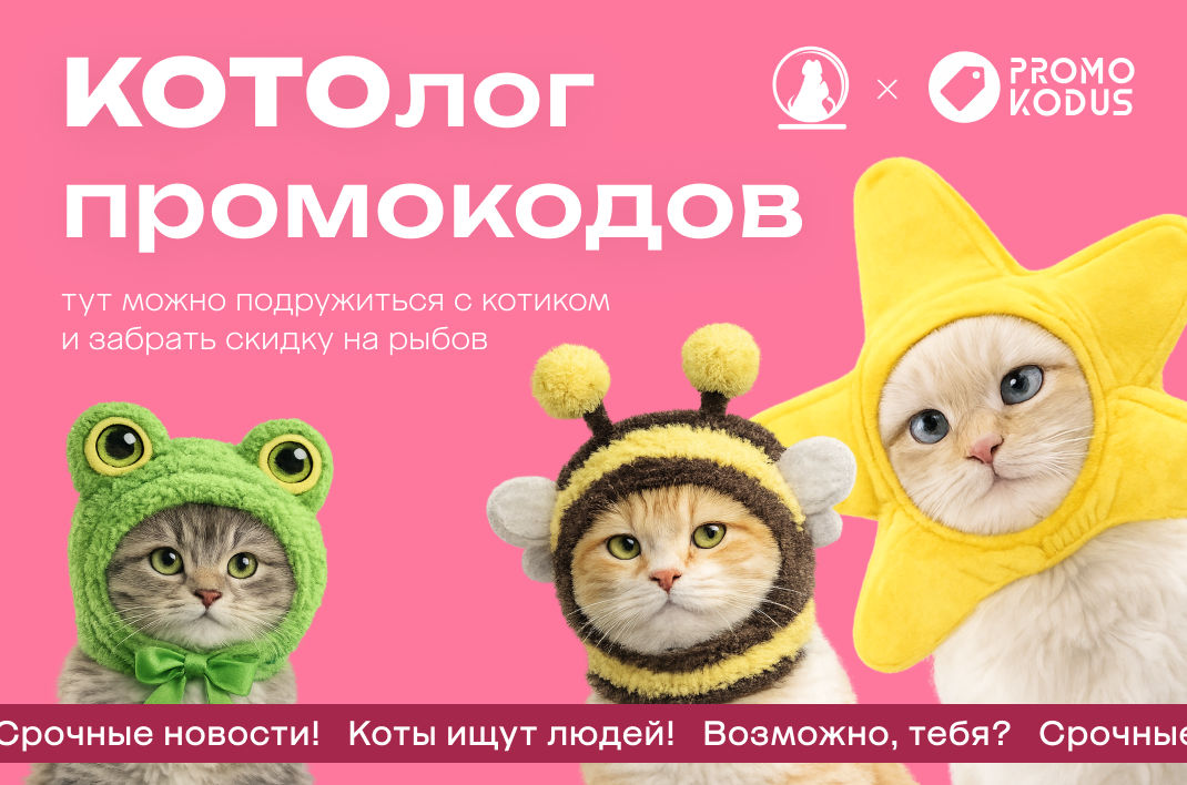 Более 50 брендов и десятки котов: Promokodus запускает самую добрую акцию года фото: Более 50 брендов и десятки котов: Promokodus запускает самую добрую акцию года