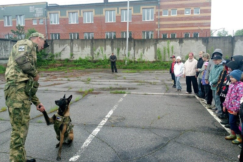 Патриотическая акция «Каникулы с Росгвардией» набирает обороты в Томской области фото: Патриотическая акция «Каникулы с Росгвардией» набирает обороты в Томской области