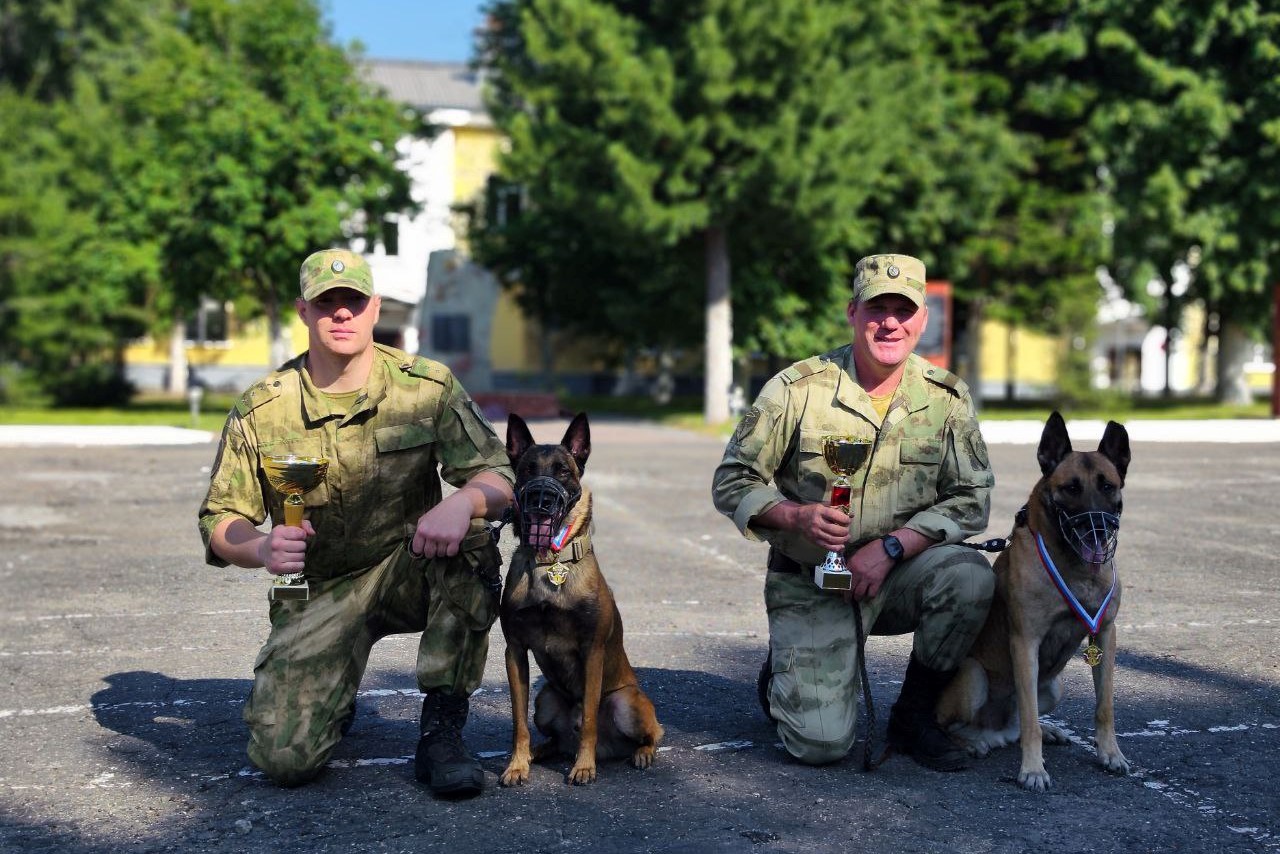 В Томской области завершился чемпионат по служебному многоборью кинологов Сибирского округа Росгвардии фото: В Томской области завершился чемпионат по служебному многоборью кинологов Сибирского округа Росгвардии