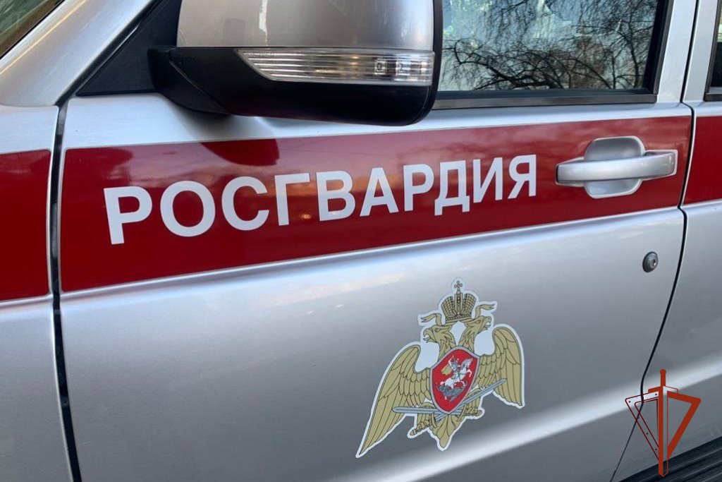 Более 8000 раз выезжали по сигналу «тревога» сотрудники Росгвардии в Томской области фото: Более 8000 раз выезжали по сигналу «тревога» сотрудники Росгвардии в Томской области