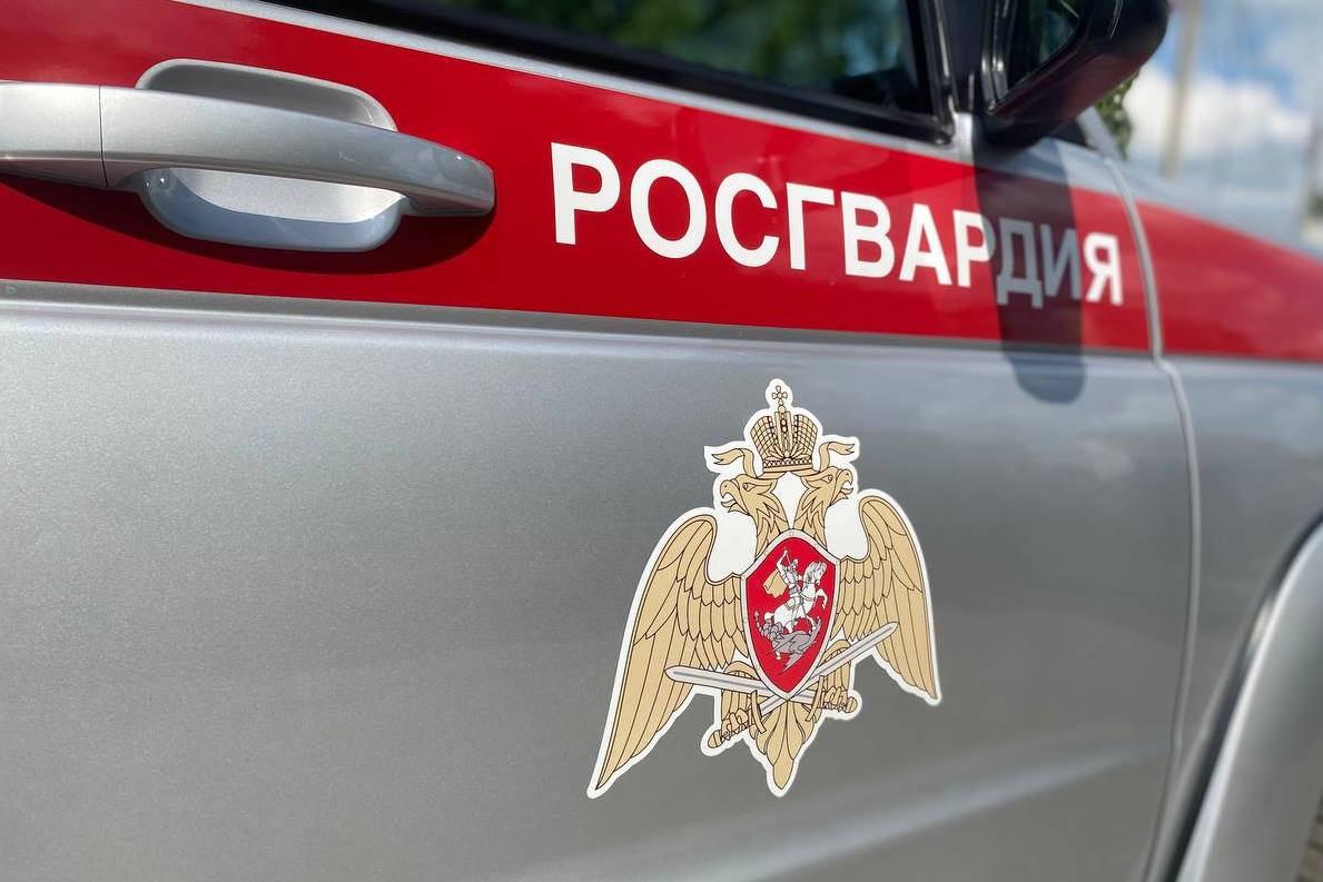 Росгвардейцы в Томске по сигналу «тревога» задержали подозреваемую в краже фото: Росгвардейцы в Томске по сигналу «тревога» задержали подозреваемую в краже