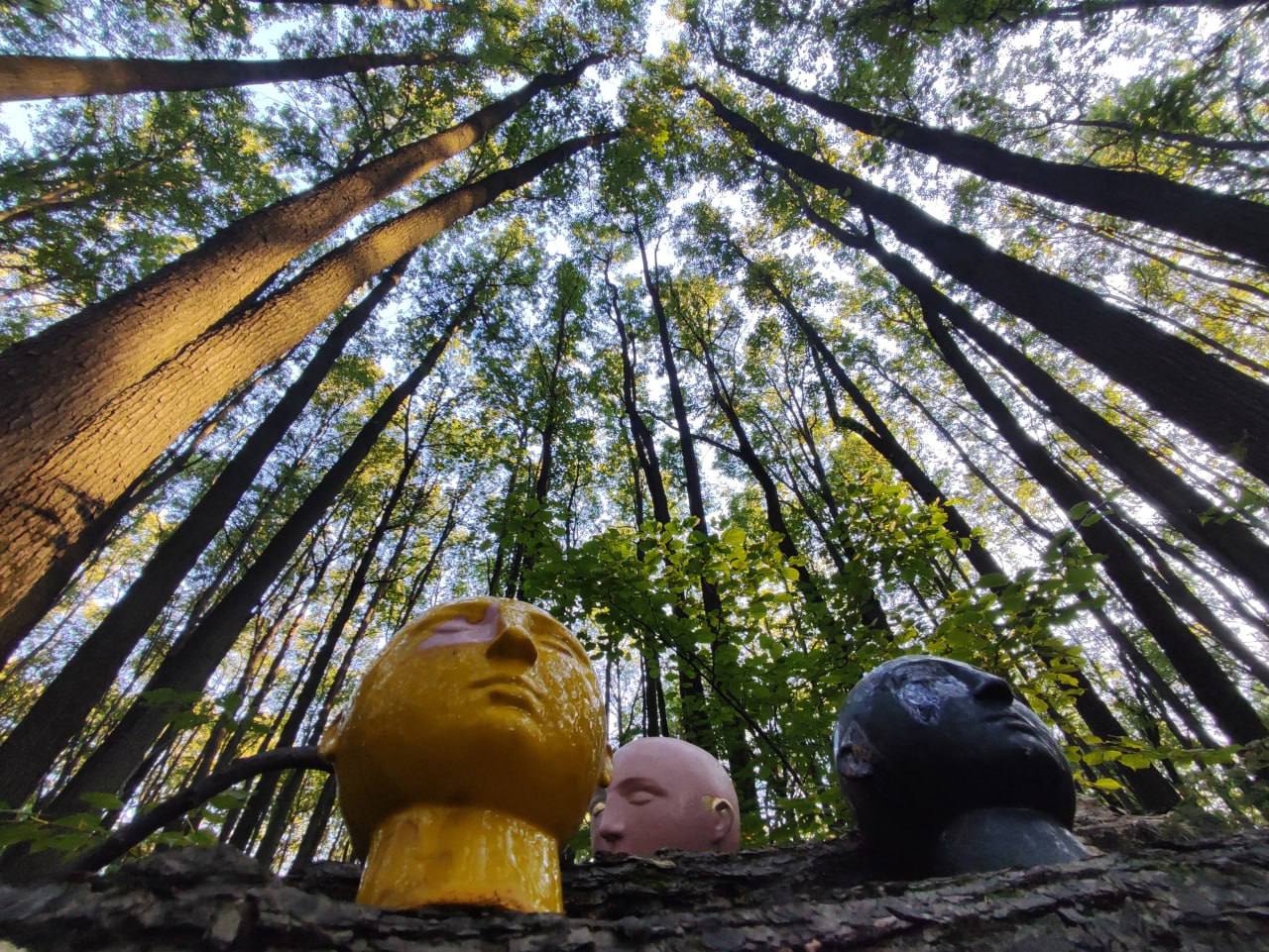 Паблик-арт проект «Быть здесь» представит более 40 работ в Подмосковье фото: Паблик-арт проект «Быть здесь» представит более 40 работ в Подмосковье