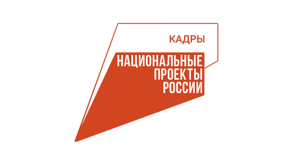 Цифра, закупки и прикладные навыки: на какие специальности сделали ставку при переобучении в 2026 году фото: Цифра, закупки и прикладные навыки: на какие специальности сделали ставку при переобучении в 2026 году