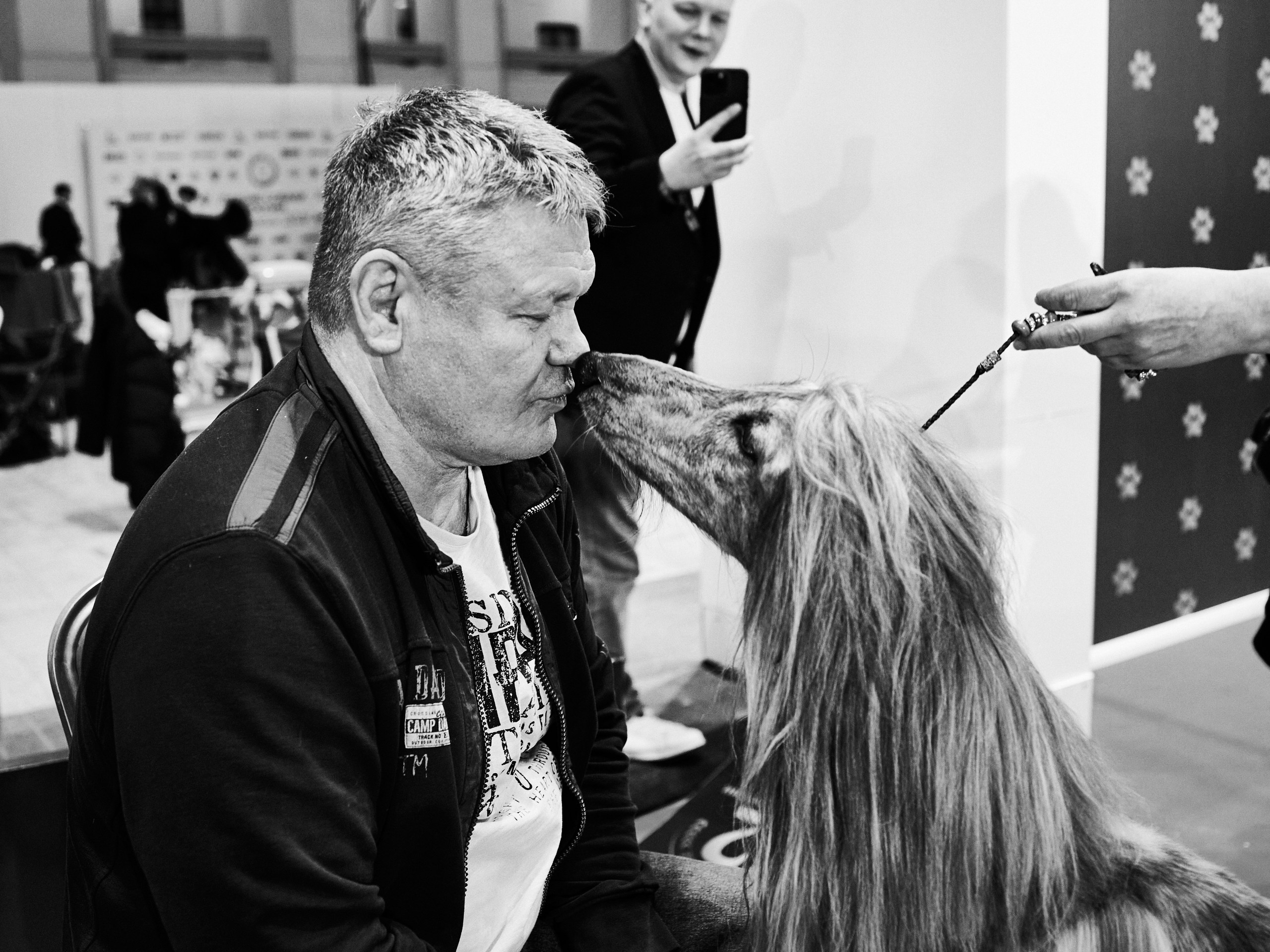 В Москве состоялась выставка «Лучшие собаки и кошки России» фото: В Москве состоялась выставка «Лучшие собаки и кошки России»