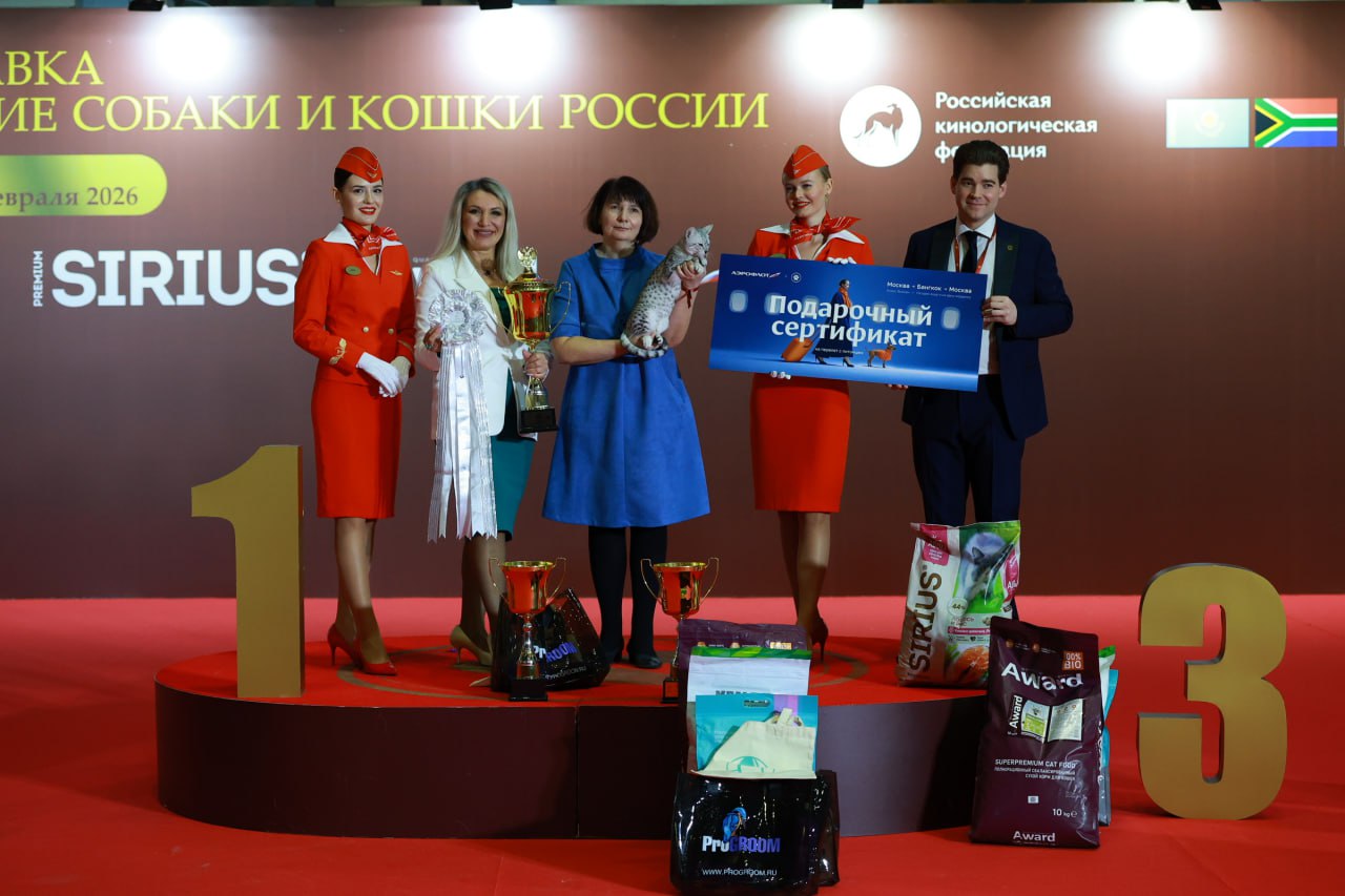 В Москве состоялась выставка «Лучшие собаки и кошки России» фото: В Москве состоялась выставка «Лучшие собаки и кошки России»