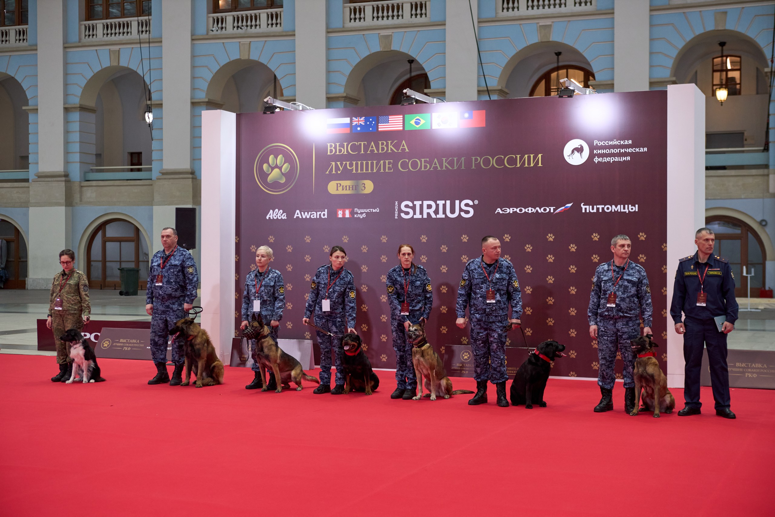 В Москве состоялась выставка «Лучшие собаки и кошки России» фото: В Москве состоялась выставка «Лучшие собаки и кошки России»