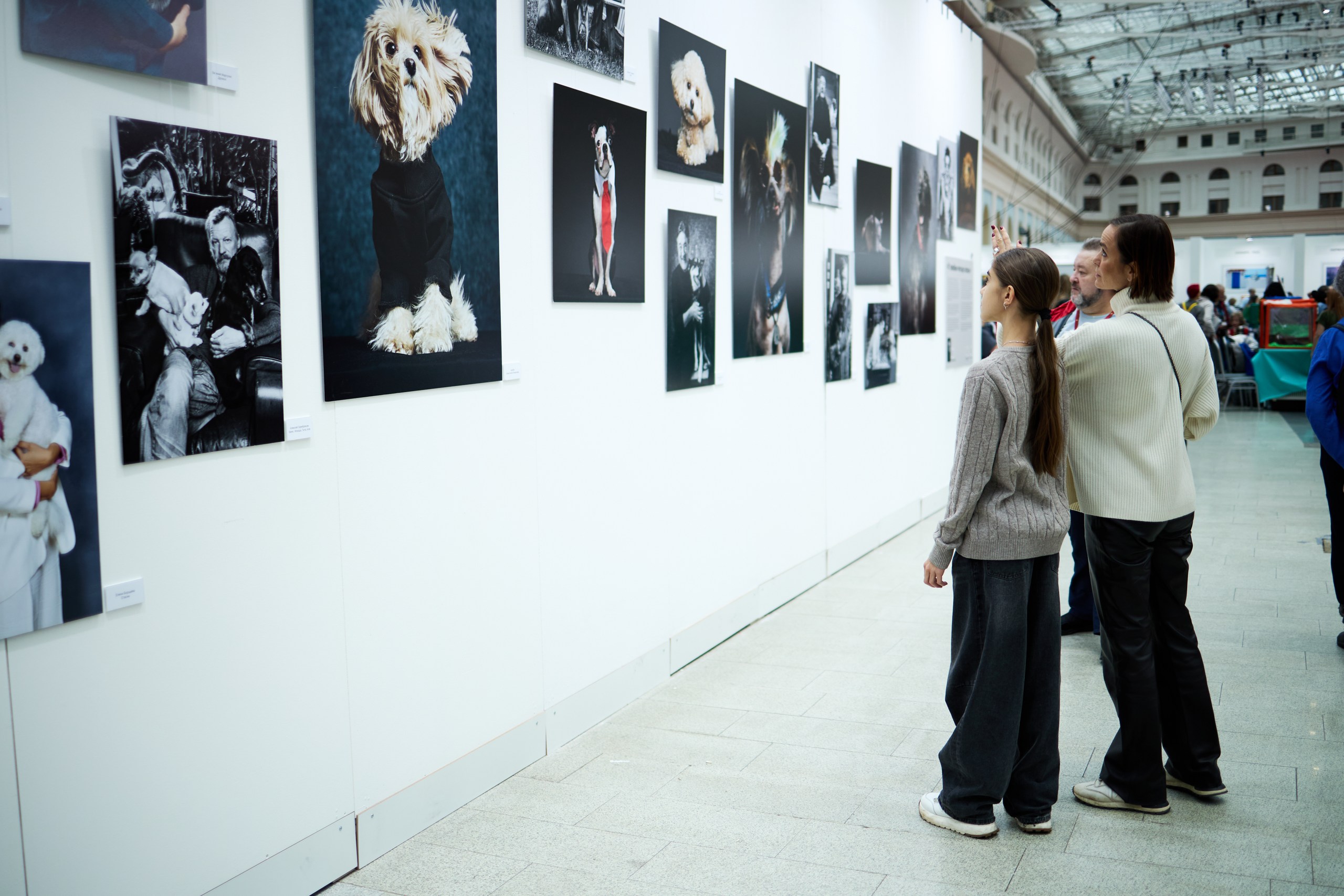 В Москве состоялась выставка «Лучшие собаки и кошки России» фото: В Москве состоялась выставка «Лучшие собаки и кошки России»