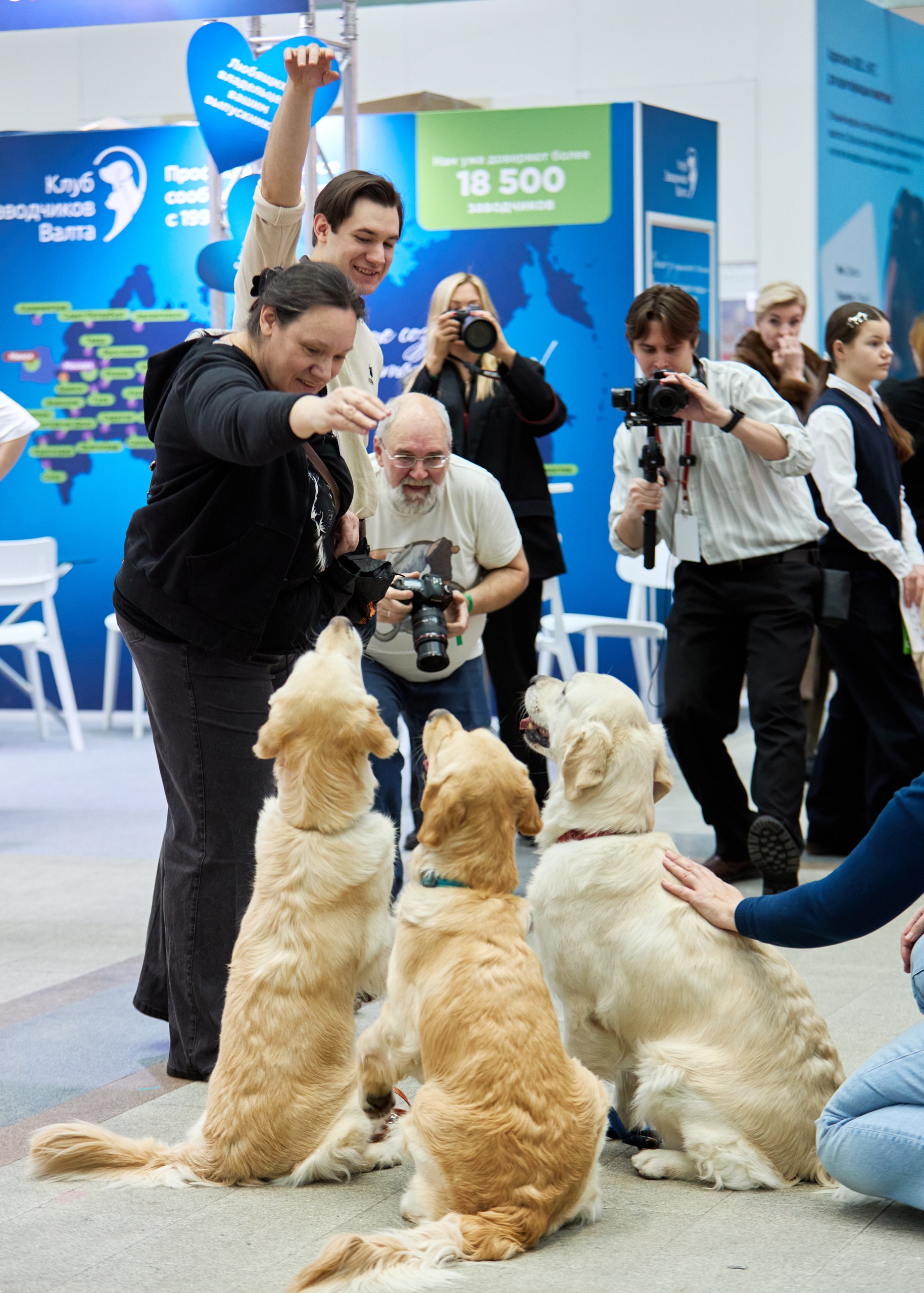 В Москве состоялась выставка «Лучшие собаки и кошки России» фото: В Москве состоялась выставка «Лучшие собаки и кошки России»