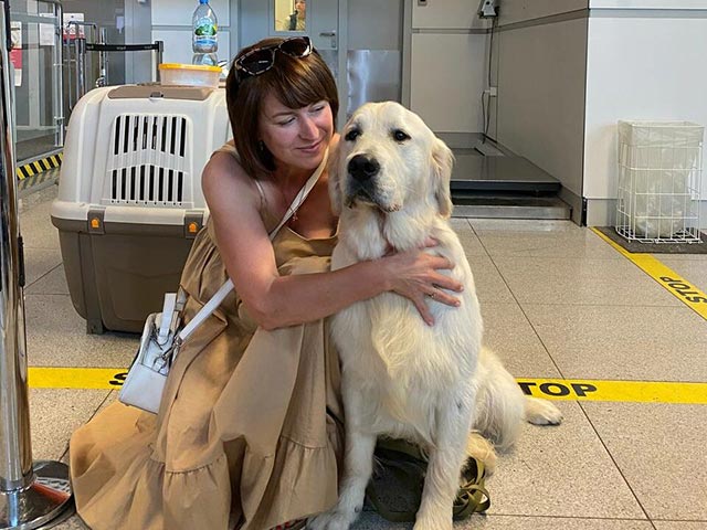 Delivery Animal: премиальный стандарт международной перевозки животных фото: Delivery Animal: премиальный стандарт международной перевозки животных