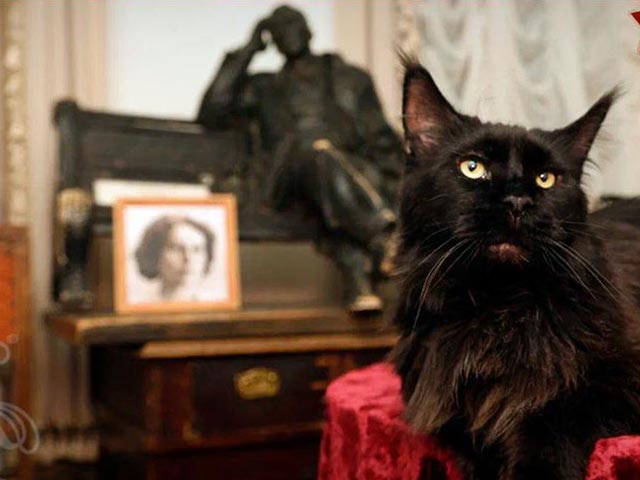 Фестиваль «135 лет Мастеру: наследие Булгакова» фото: Фестиваль «135 лет Мастеру: наследие Булгакова»