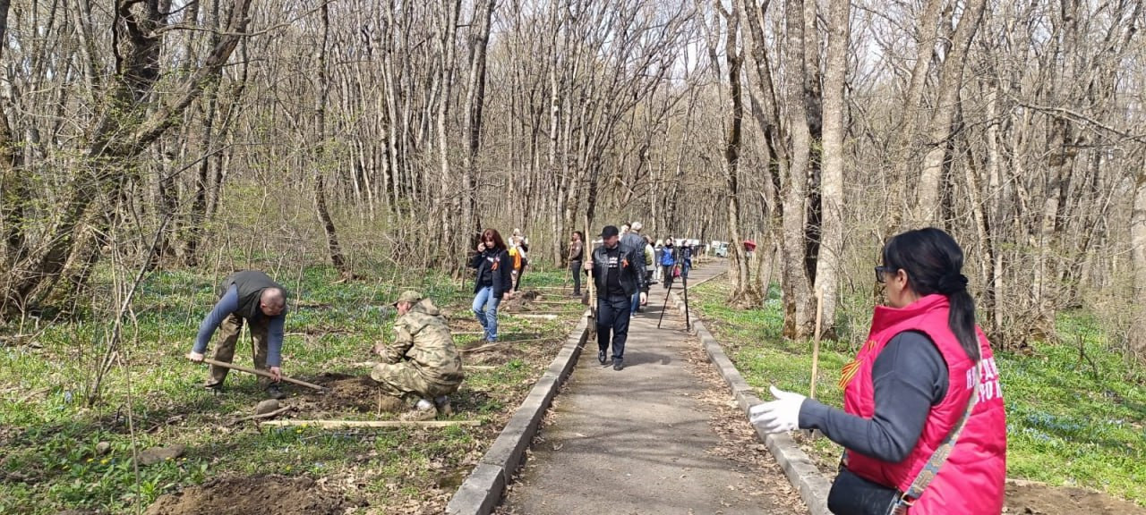 60 ясеней высадили в Русском лесу в Ставрополе фото: 60 ясеней высадили в Русском лесу в Ставрополе