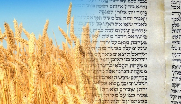 В еврейской общине рассказали об общечеловеческой ценности Десяти заповедей фото: В еврейской общине рассказали об общечеловеческой ценности Десяти заповедей