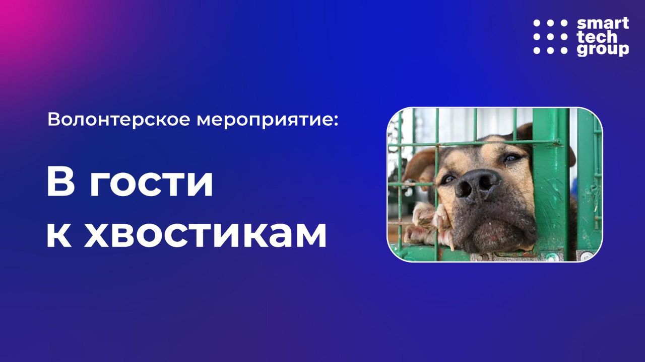 «Команда добра» посетила приют для бездомных животных в Орле фото: «Команда добра» посетила приют для бездомных животных в Орле