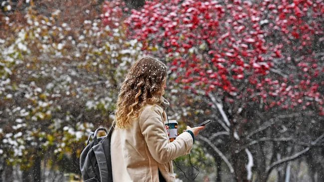 Аллергия на пыльцу в апрельские морозы фото: Аллергия на пыльцу в апрельские морозы