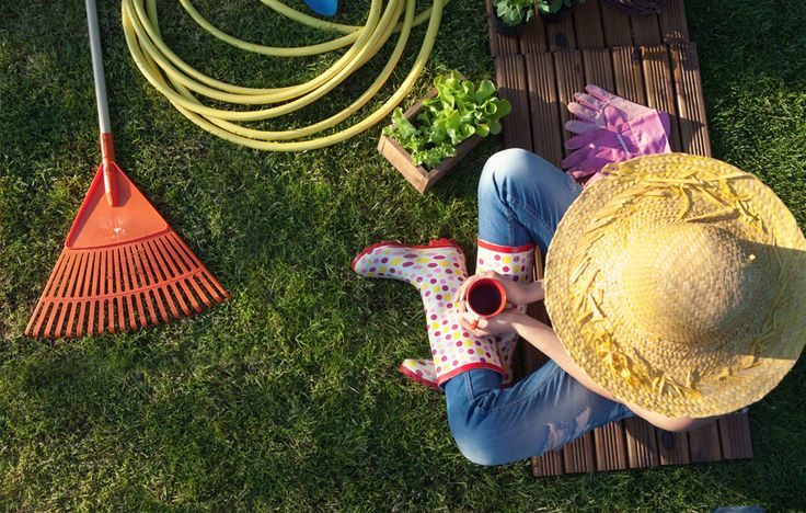 Опасности дачного сезона для ЖКТ и не только фото: Опасности дачного сезона для ЖКТ и не только