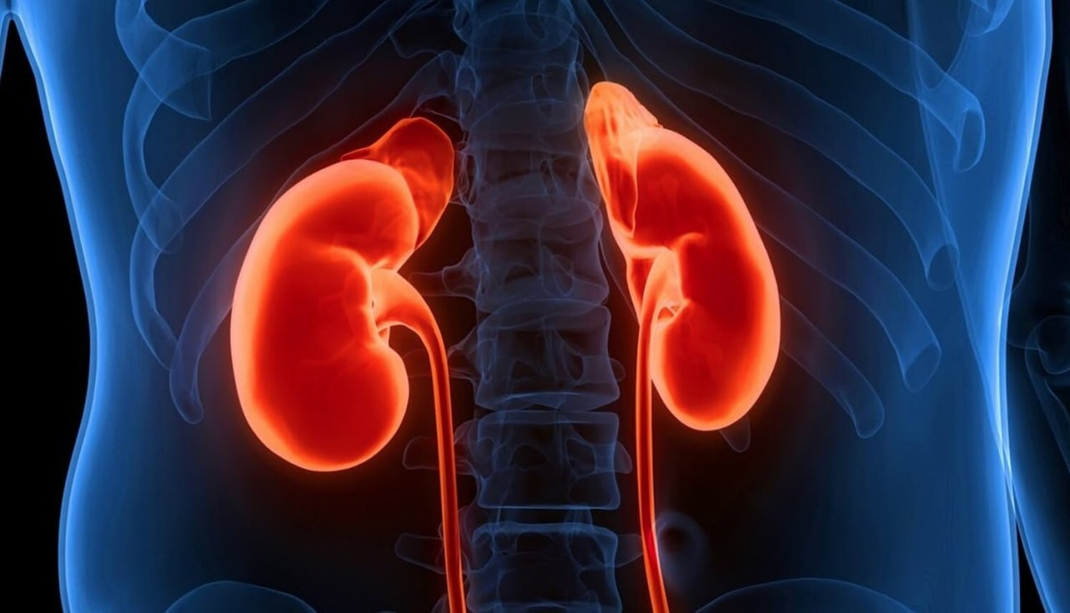 Триада симптомов и скрытые угрозы: эксперт Пироговского Университета Светлана Паунова о том, как обнаружить рак почки фото: Триада симптомов и скрытые угрозы: эксперт Пироговского Университета Светлана Паунова о том, как обнаружить рак почки