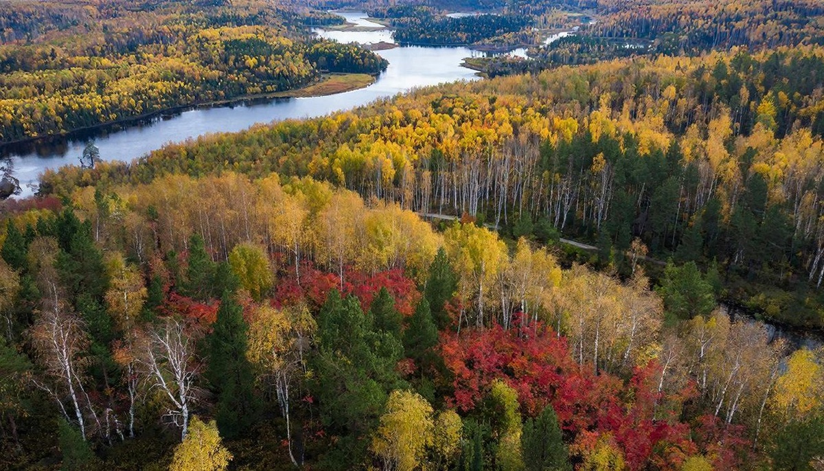 Специалист Пироговского Университета Алексей Решетун о том, как обеспечить судмедэкспертизу в труднодоступных районах фото: Специалист Пироговского Университета Алексей Решетун о том, как обеспечить судмедэкспертизу в труднодоступных районах