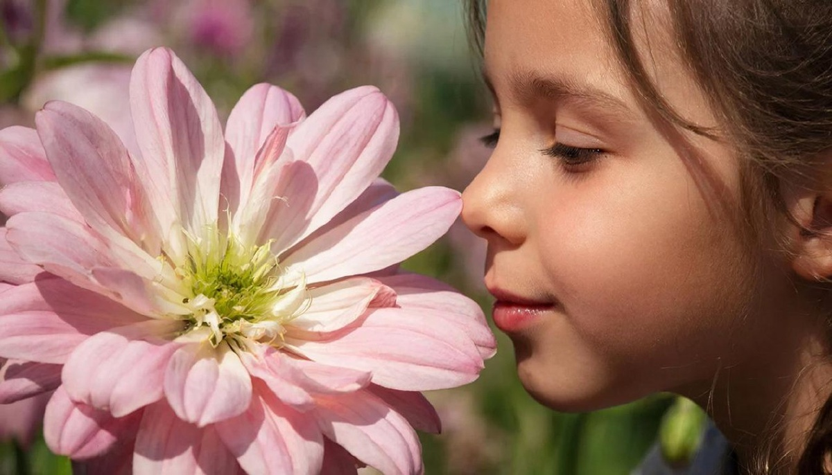 Обоняние как суперкомпьютер: эксперт Пироговского Университета о том, как запахи управляют телом фото: Обоняние как суперкомпьютер: эксперт Пироговского Университета о том, как запахи управляют телом
