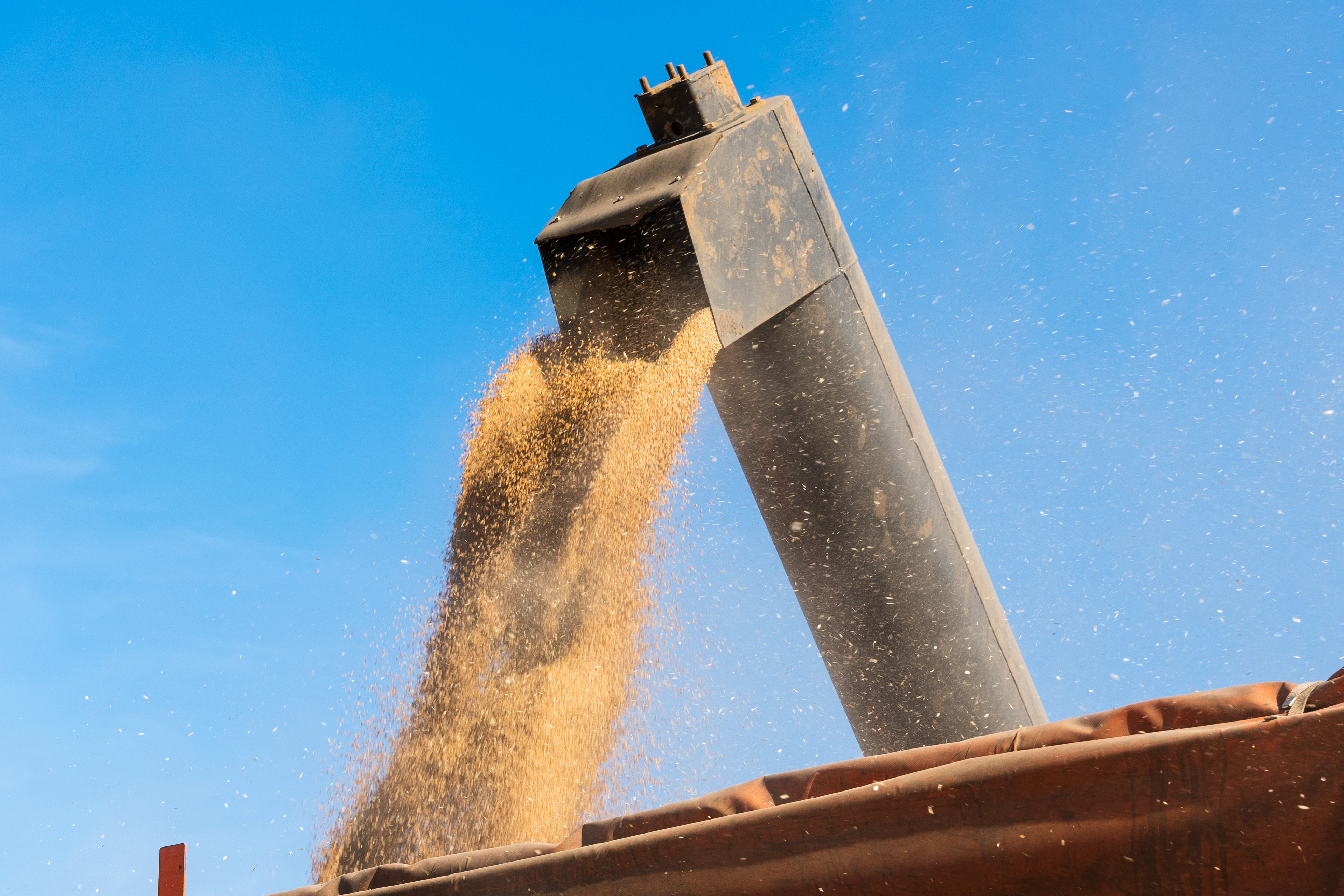 Холдинг «АГРОСИЛА» подводит итоги уборки зерновых культур в сезоне 2025 года фото: Холдинг «АГРОСИЛА» подводит итоги уборки зерновых культур в сезоне 2025 года