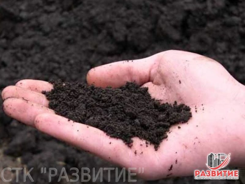 фото: Растительный грунт оптом где заказать в СПб