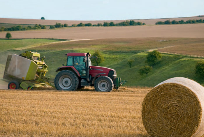 фото: Помощь малому и среднему бизнесу в сельском хозяйстве.