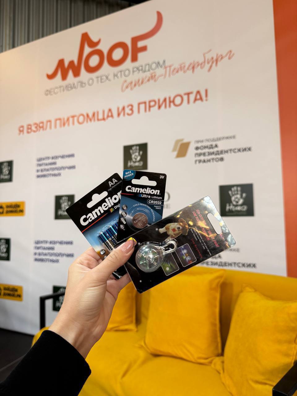 фото: Camelion на фестивале WOOF: свет на пути к дому