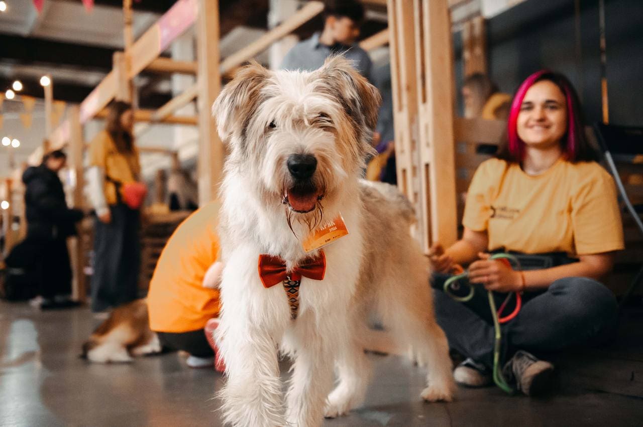 фото: Camelion на WOOF в Москве: свет для тех, кто идет домой