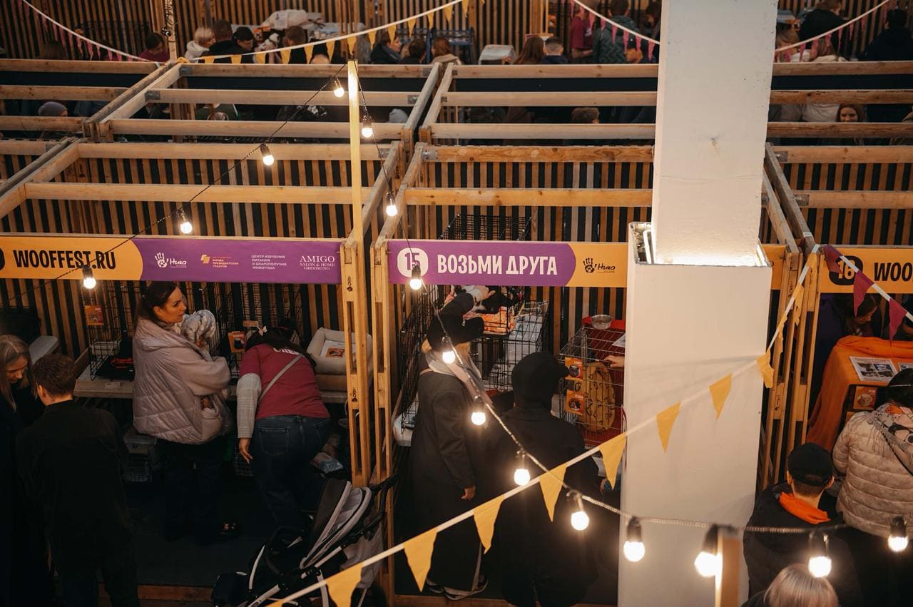 фото: Camelion на WOOF в Москве: свет для тех, кто идет домой