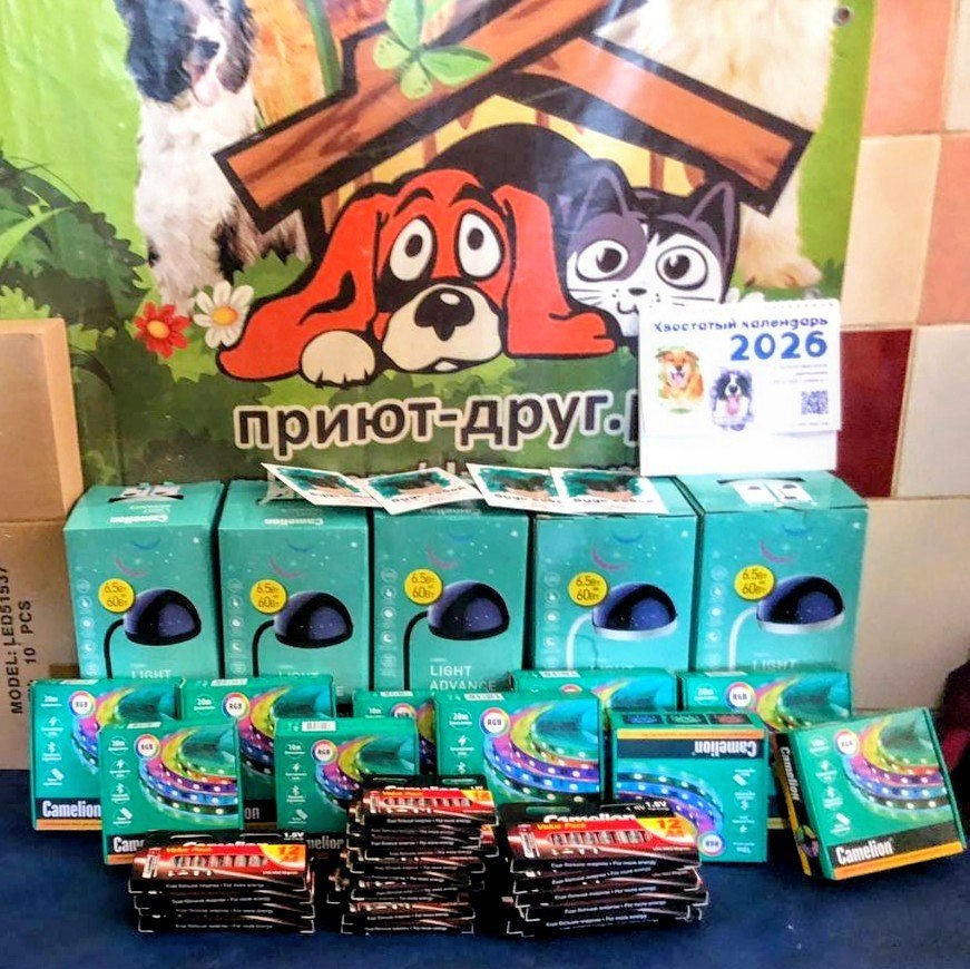 фото: Акция «Наряди приют»: как «Погуляй собаку» и Camelion объединились для помощи