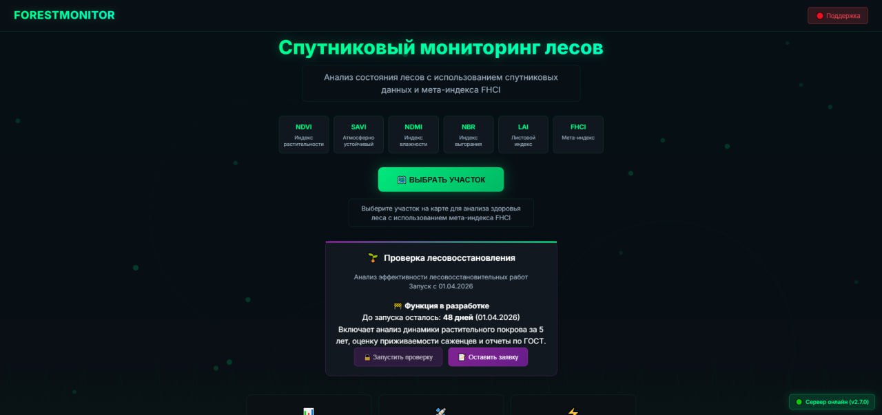 фото: В России запущен «цифровой лесничий» с отчетом за 20 минут