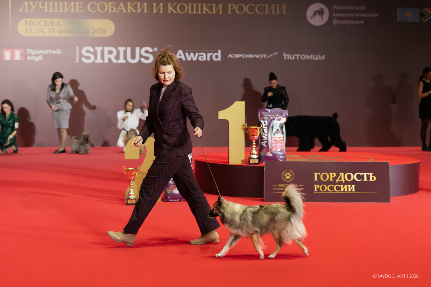 фото: 1 и 2 августа в Санкт-Петербурге состоится выставка «Лучшие собаки России. Шоу чемпионов»