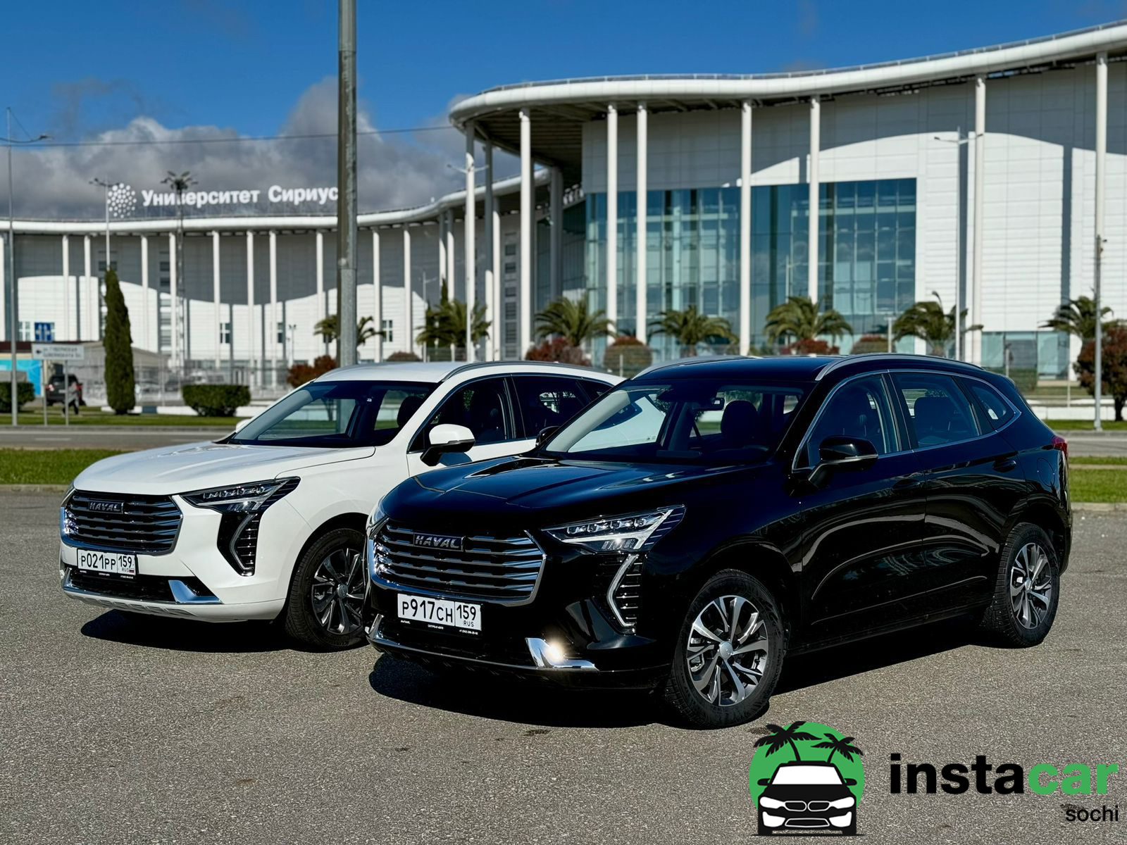 фото: Как найти место для аренды автомобиля в Сочи?