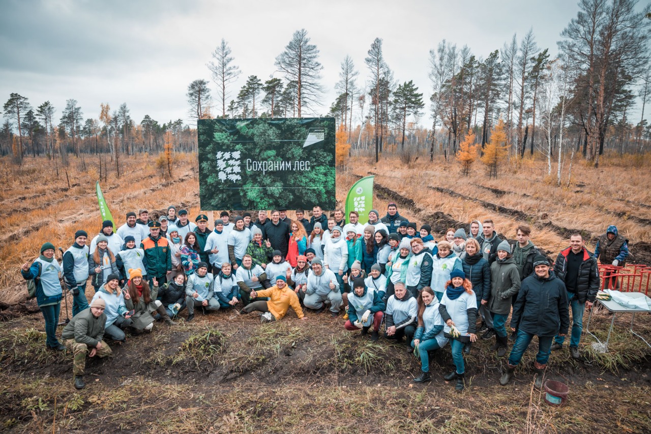 фото: Десятки тысяч новых деревьев появятся в 20 регионах страны благодаря партнёрам акции «Сохраним лес»