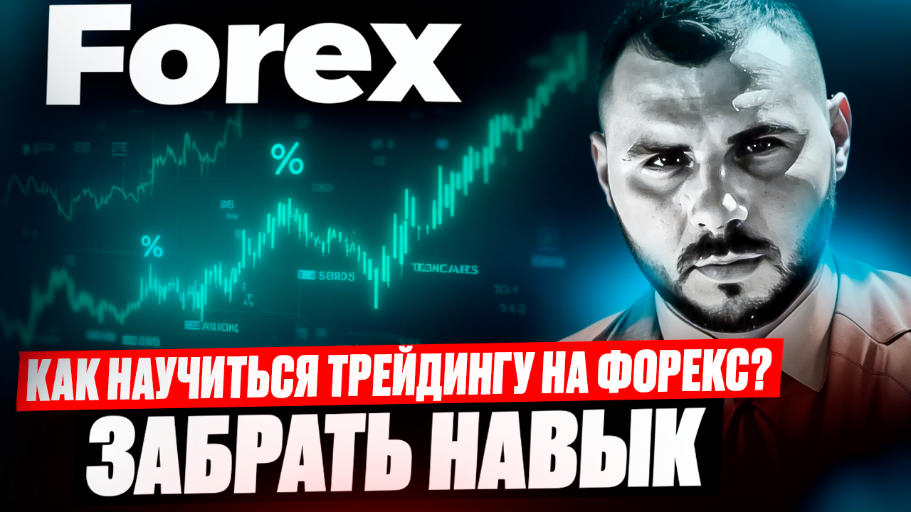 фото: Трейдинг обучение: с нуля на Forex с наставником – как получить именно навык?