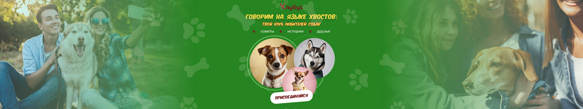 фото: «Клуб УлыбакиСобаки» запускает специализированную площадку для бесплатного размещения объявлений о собаках