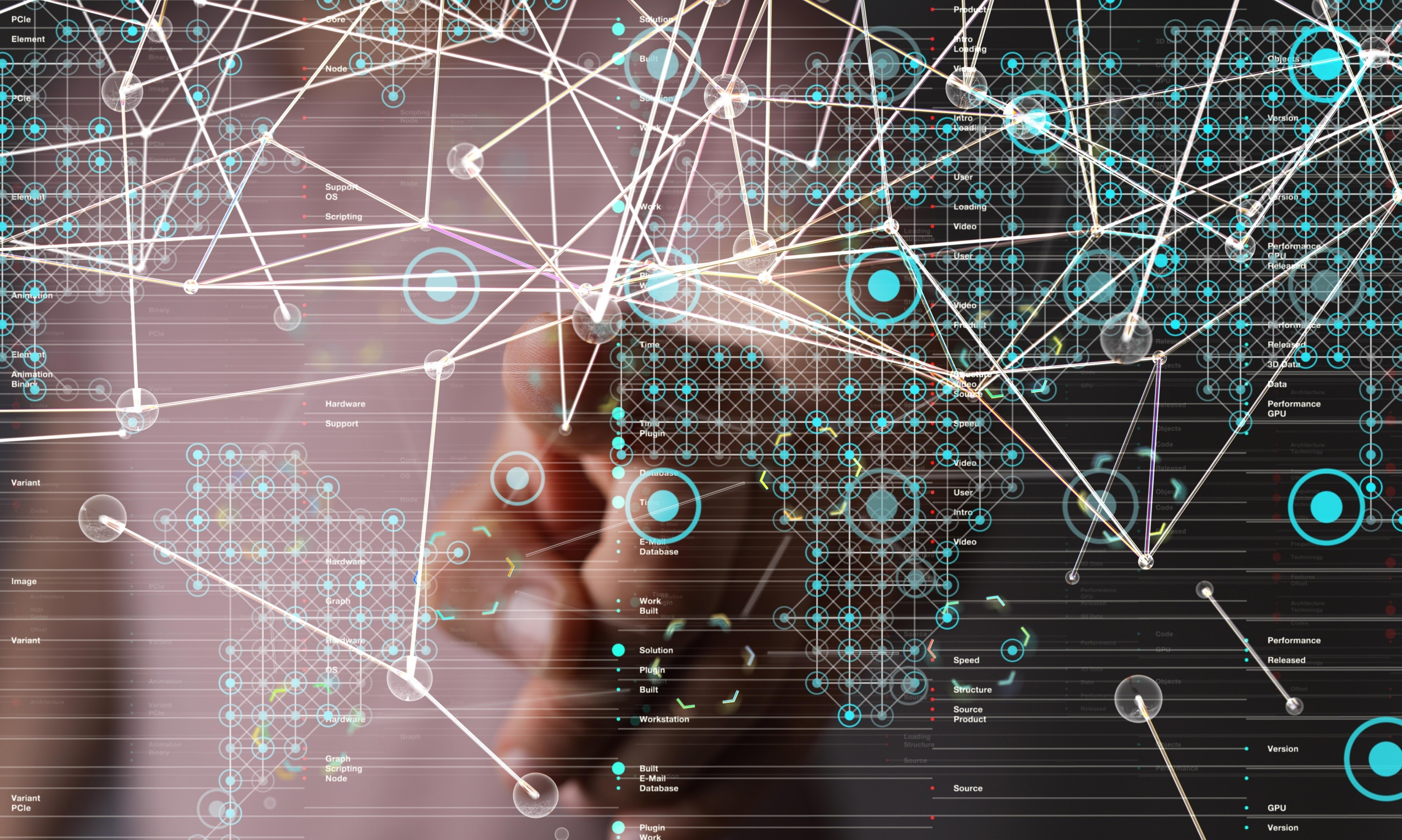 фото: Декабрь: месяц важных международных встреч по РМЖ